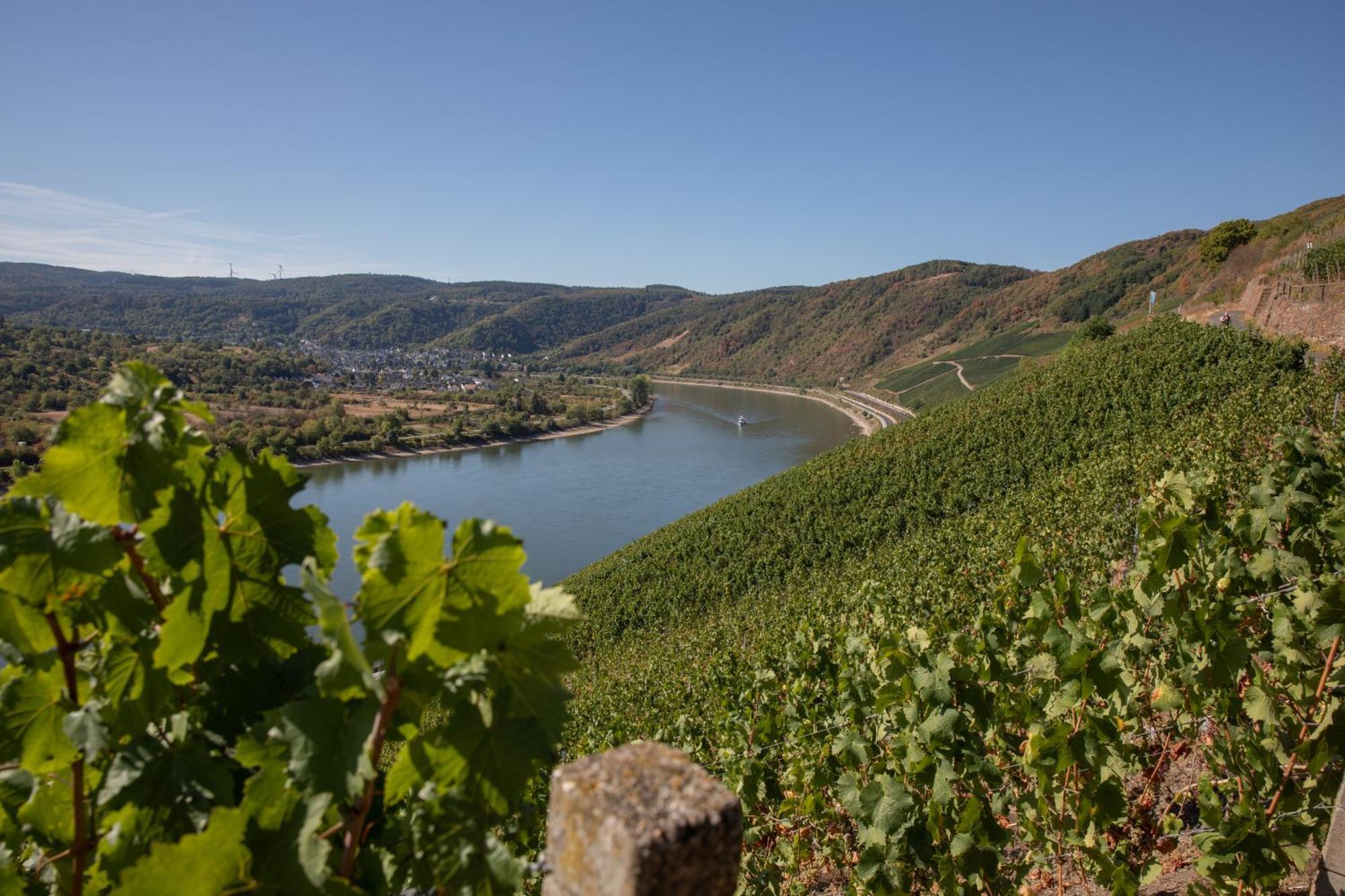 Baudobriga Rheinhotel Boppard Εξωτερικό φωτογραφία