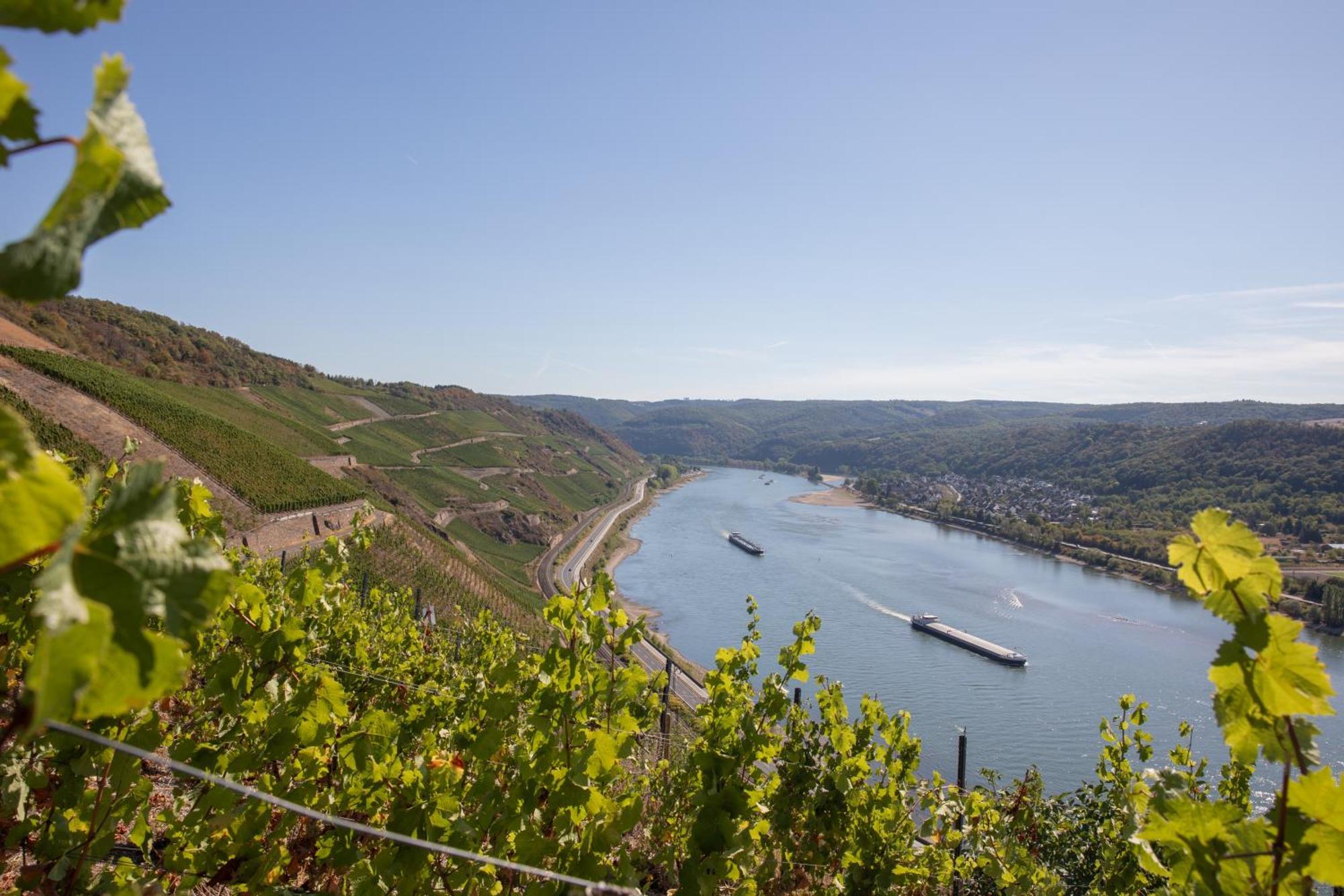 Baudobriga Rheinhotel Boppard Εξωτερικό φωτογραφία